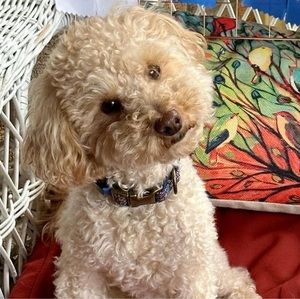 Meet your Posher, Kathy